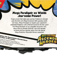 Pokémon TCG: Mega Evolution Ascended Heroes Mega Feraligatr ex Box - Image 6